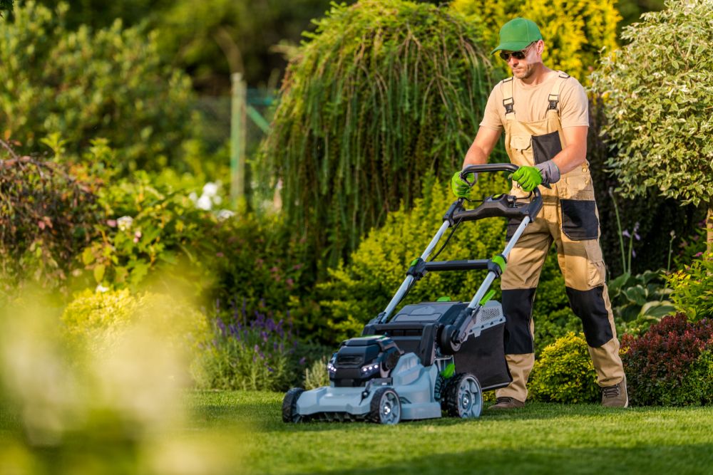 mowing the lawn using professional equipment pnqzm7a