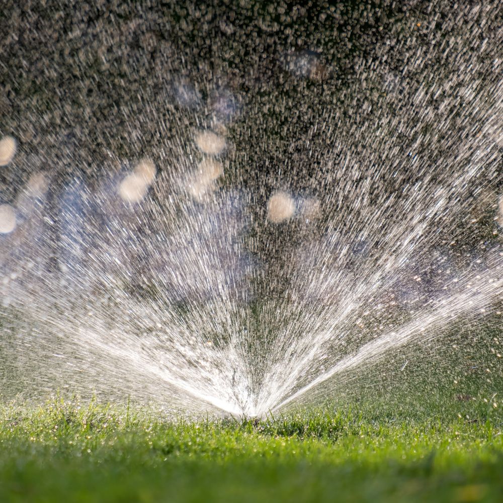 plastic sprinkler irrigating grass lawn with water gtfu9nd.jpg